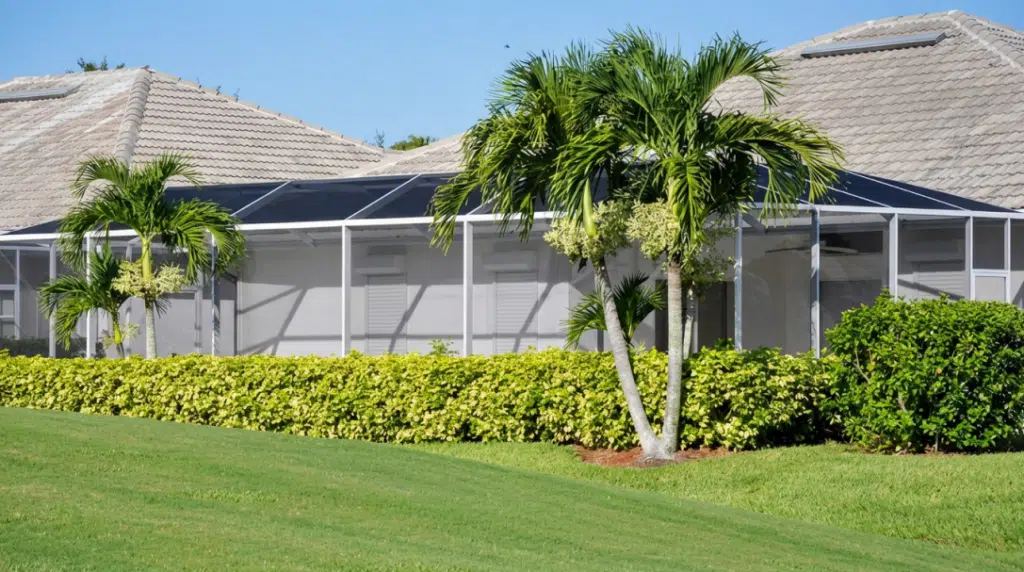 Discount Tree_tree removal Pompano Beach FL_featured image